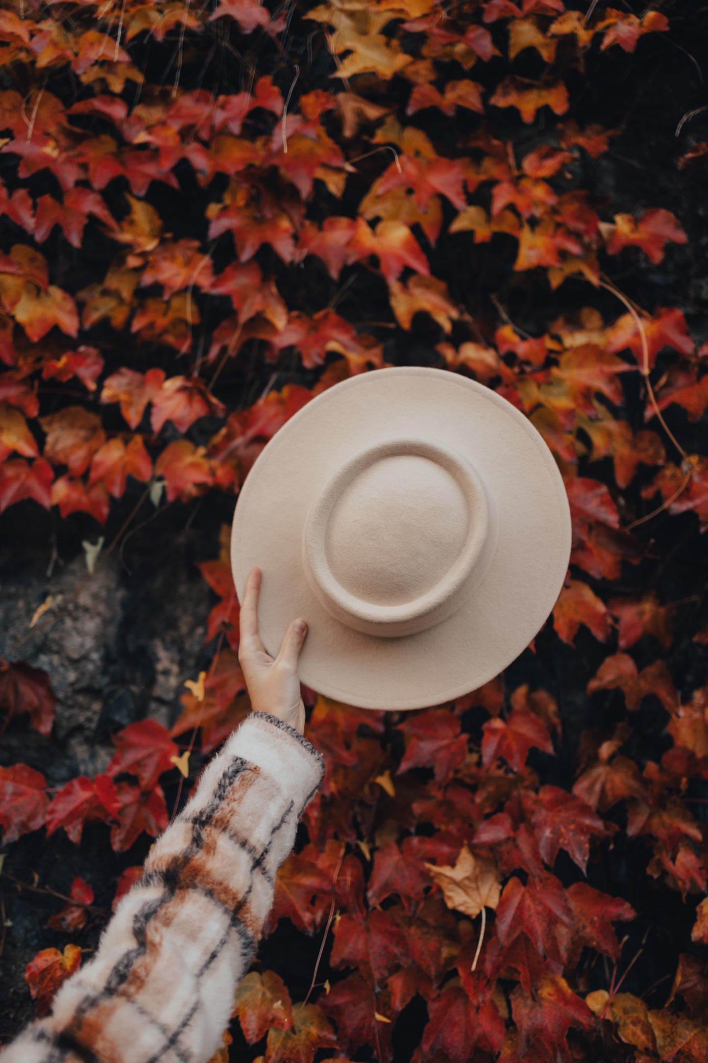 The Maron - Off White Hat